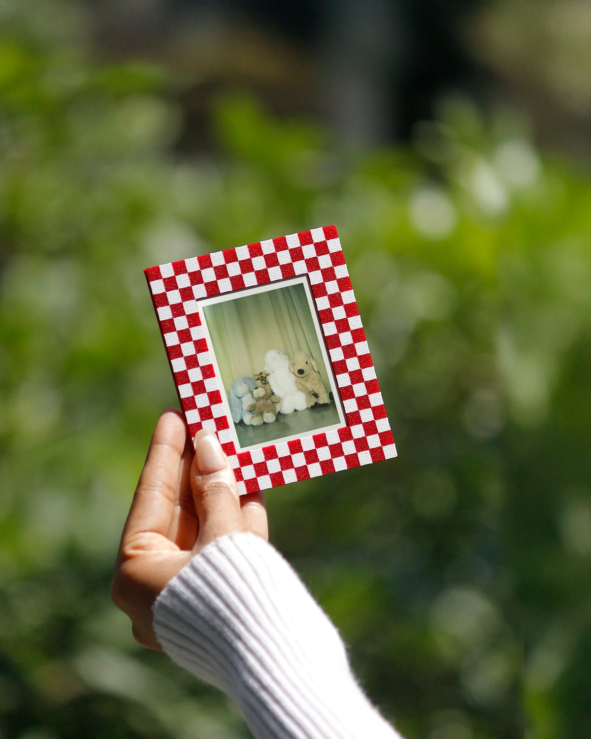 Cherry Check Polaroid Frame